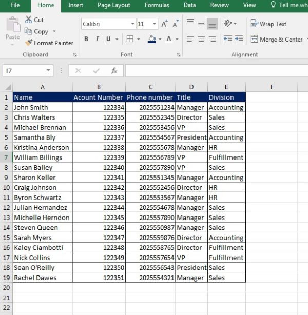 Excel Number Formatting Special: Phone Numbers - Learn Excel Now