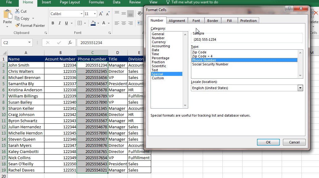 Excel Number Formatting Special Phone Numbers Learn Excel Now 1733