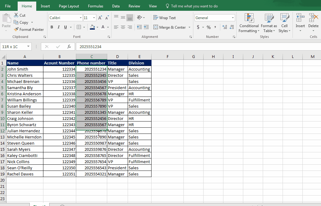 Excel Number Formatting Special - Phone Numbers